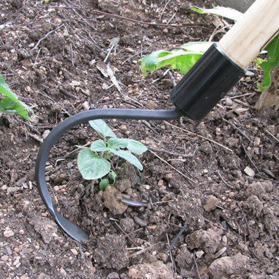 CobraHead® Long Handle Weeder & Cultivator Garden Tool Replacement Blade